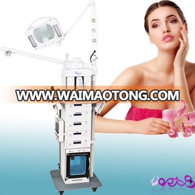 19 in 1 skincare beauty spa equipment DO-MU01