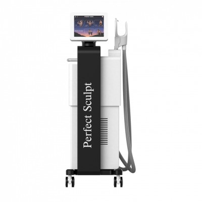 Doris Aesthetics Perfect Sculpt Hi-Emt Machine High Intensity Magnetic Energy Muscle Fat Burns Slim Beauty Slimming Equipment